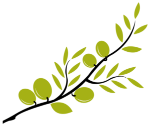olive branch2